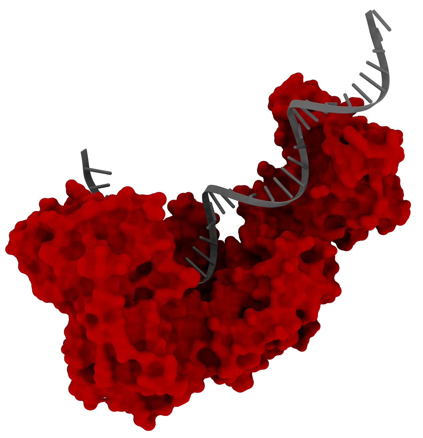 TargetEx Rapid Reverse Transcriptase 2 mg/mL